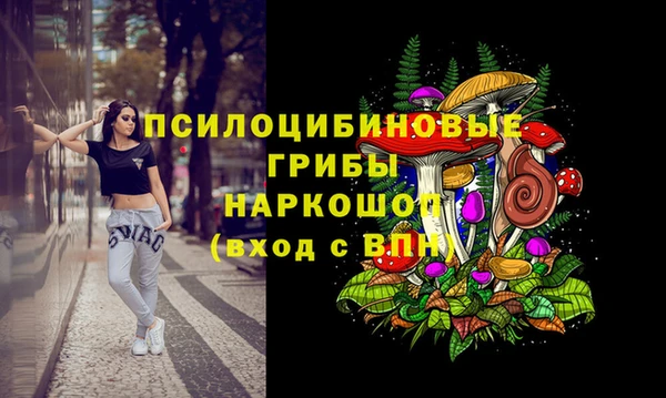 apvp Куйбышев