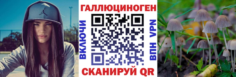 Галлюциногенные грибы Cubensis  omg вход  Санкт-Петербург 