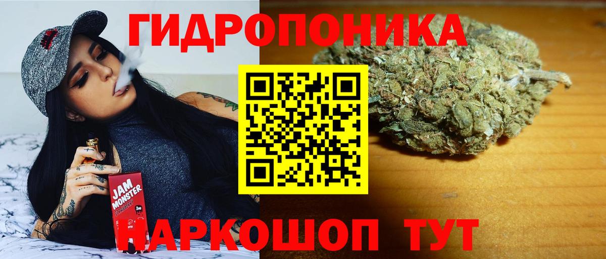 Конопля индика Санкт-Петербург